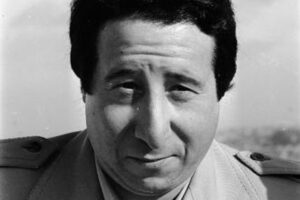 Alvaro Vitali